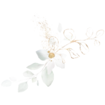 kadymindsetcoach-elements-web-1 kadymindsetcoach