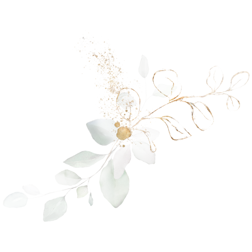 kadymindsetcoach-elements-web-1 kadymindsetcoach