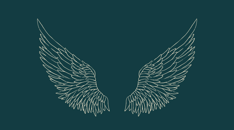 Kady-Coach-Wings-green-background copy kadycoach