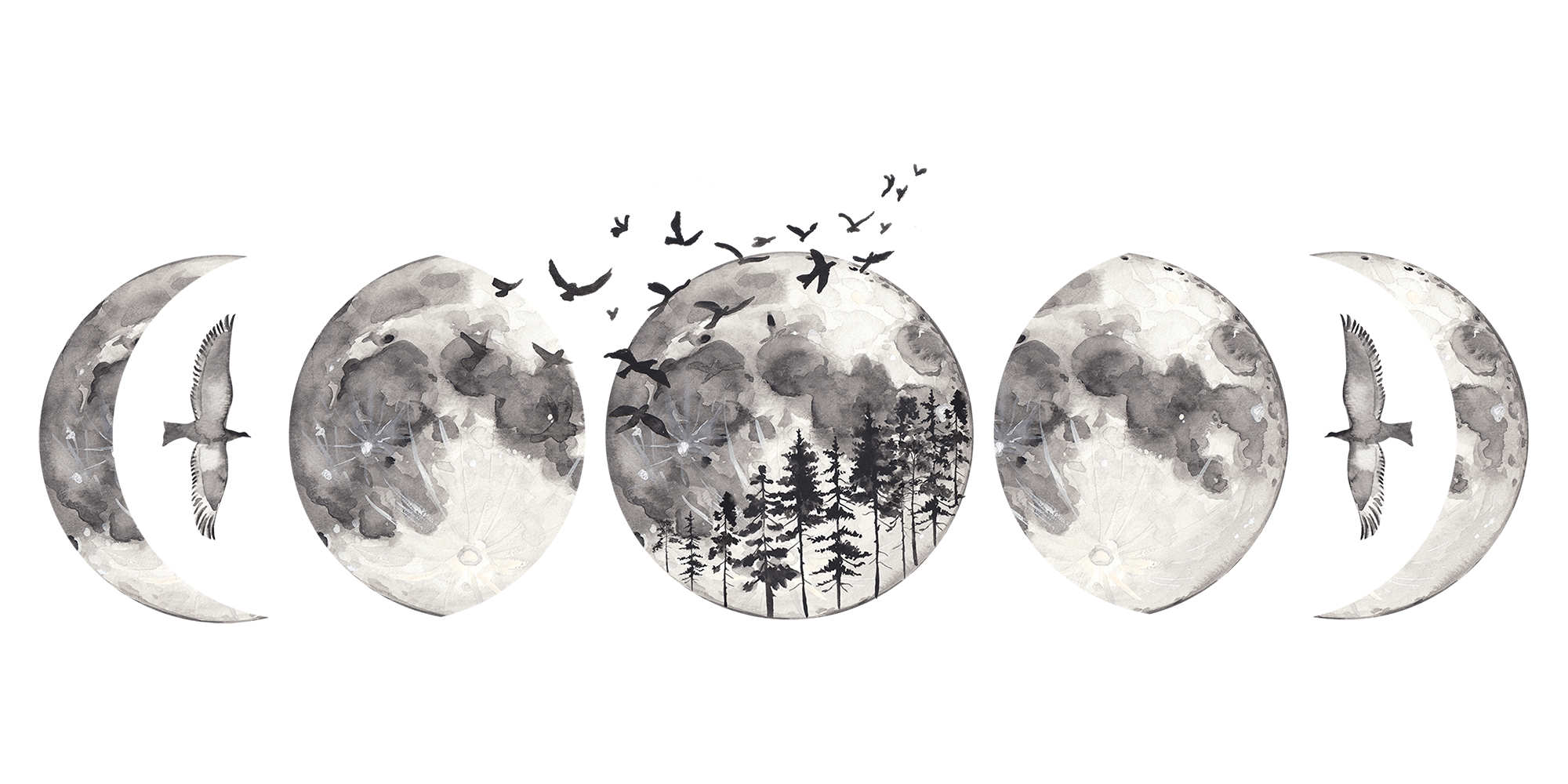 moon phases